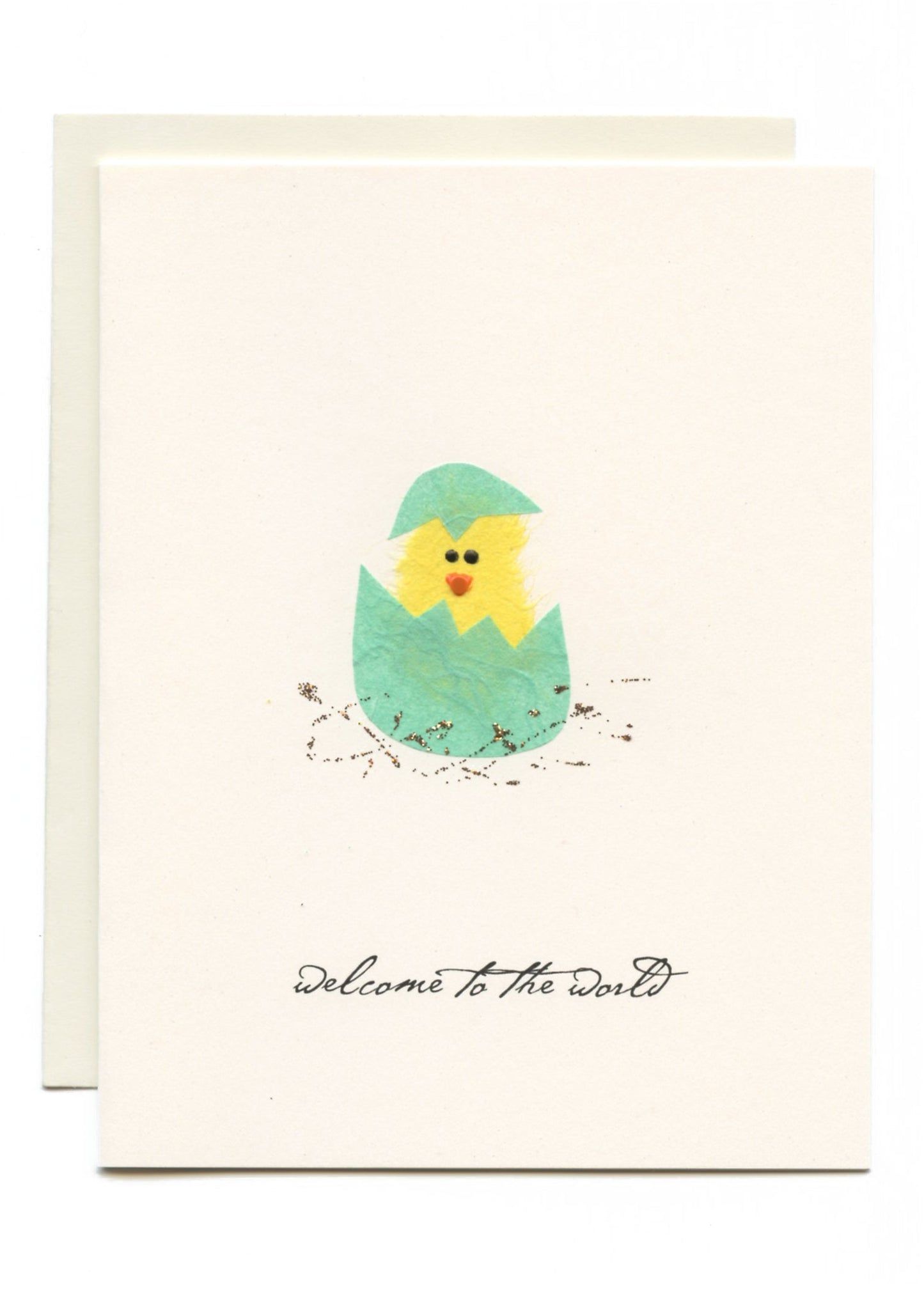 "Welcome To The World" Chick Hatching